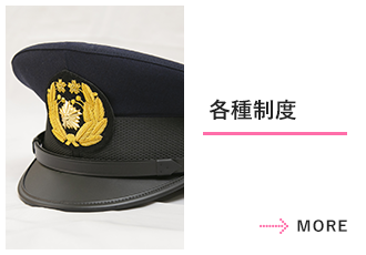 各種制度