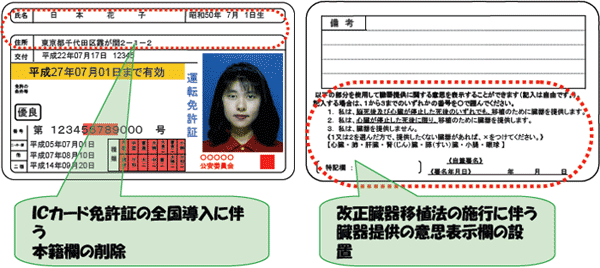 画像：免許証見本。ICカード免許証の全国導入に伴う本籍欄の削除。改正臓器移植法の施行に伴う臓器提供の意思表示欄の設置。
