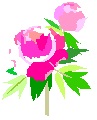 花.jpg 花.jpg