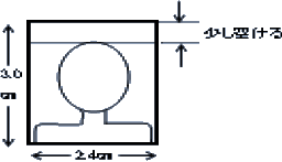 画像：写真の規格。縦3cm・横2.4cm。上部、少し空ける。