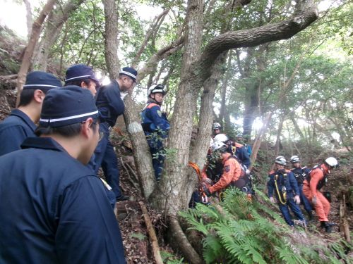 救助訓練の様子